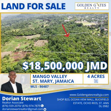 4 Acres Of Land In Mango Valley, St. Mary