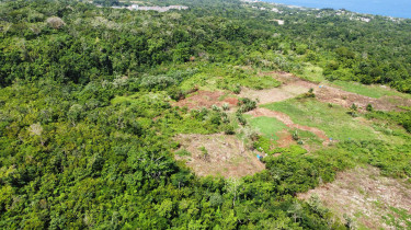 4 Acres Of Land In Mango Valley, St. Mary