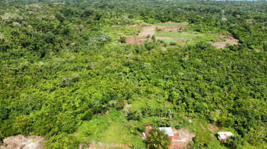 4 Acres Of Land In Mango Valley, St. Mary