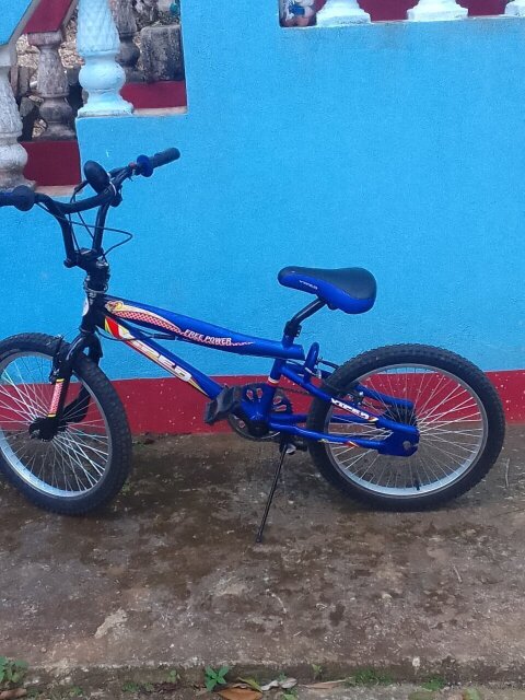 20 Inch Viper BMX Freestyle Bicycle Bikes Retirement Wattown