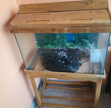 Aquarium And Stand , Everything Included