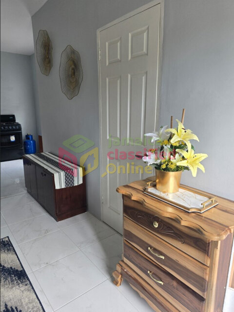 1 Bedroom Apartment For Rent - Mona, Kingston 6