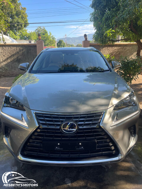 2020 LEXUS NX300h HYBRID