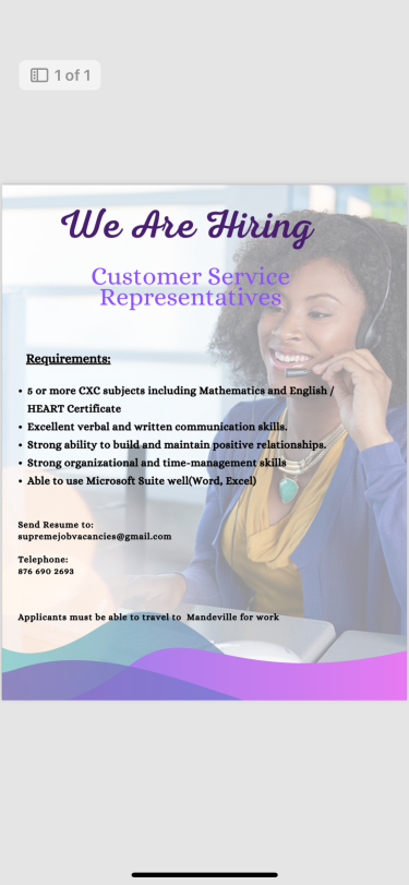 Customer Service Representatives 