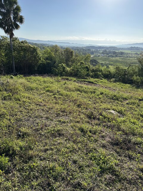 Quarter Acre