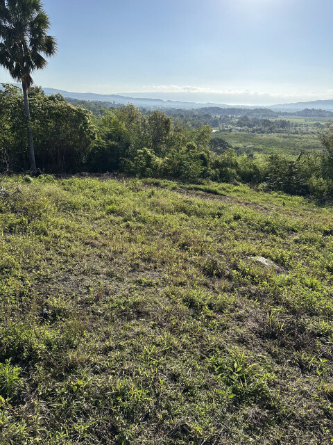 Quarter Acre Land Middle Quarters