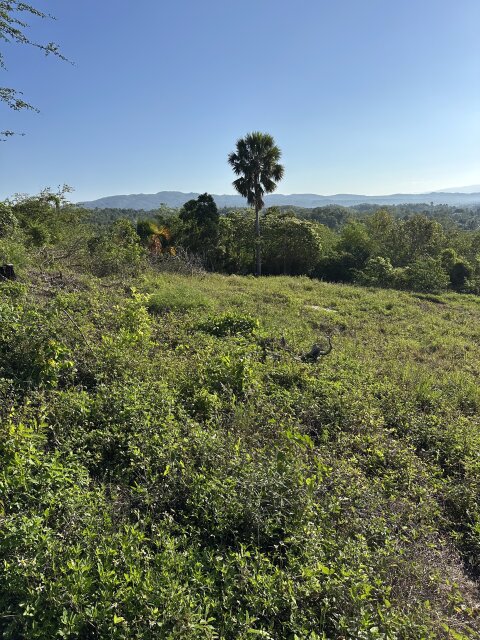 Quarter Acre