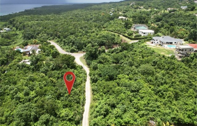 Over 3 Acres Of Land Land Pitkelleney, West End, Negril