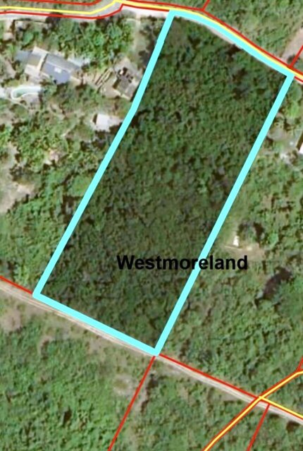 Over 3 Acres Of Land