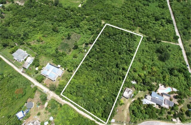 Over 3 Acres Of Land