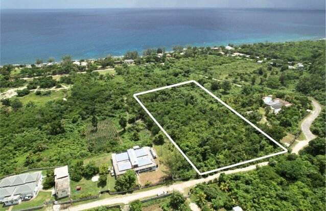 Over 3 Acres Of Land