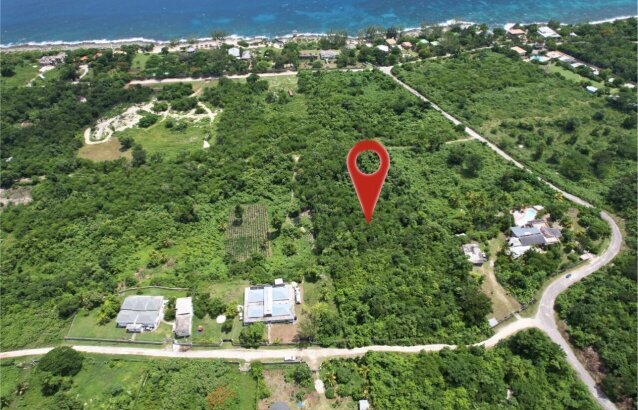 Over 3 Acres Of Land