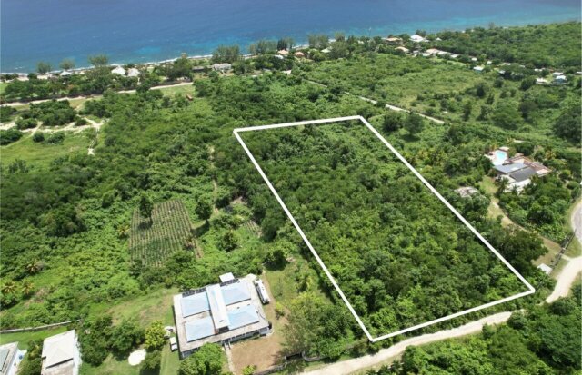 Over 3 Acres Of Land