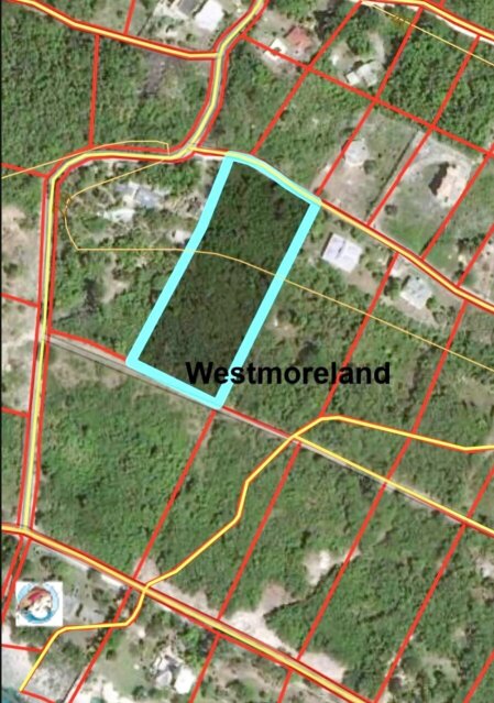 Over 3 Acres Of Land