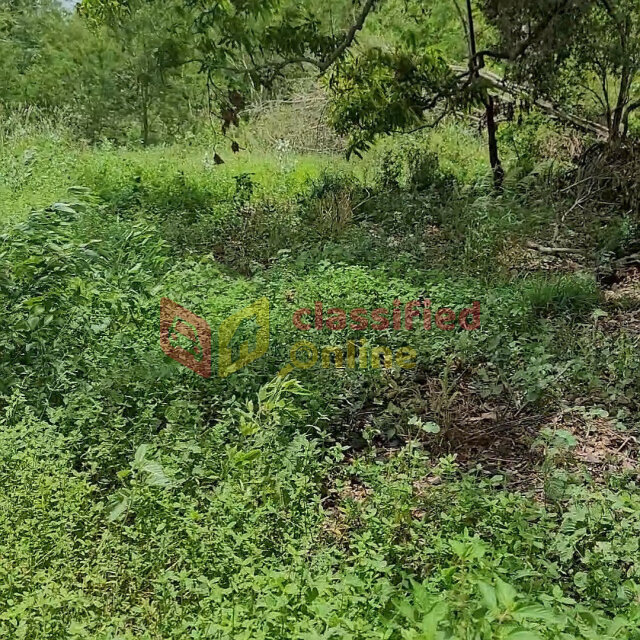 Over 1 Acre Of Land For Sale In Nain St Elizabeth Land Nain St Elizabeth