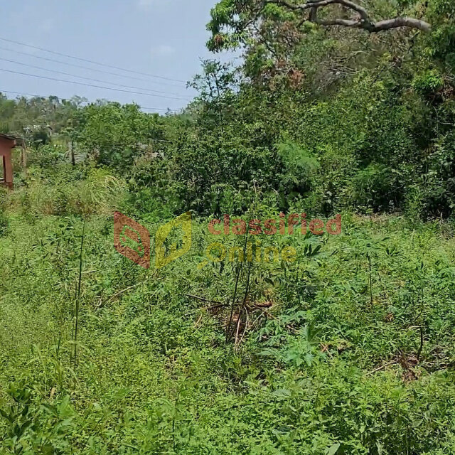 Over 1 Acre Of Land For Sale In Nain St Elizabeth