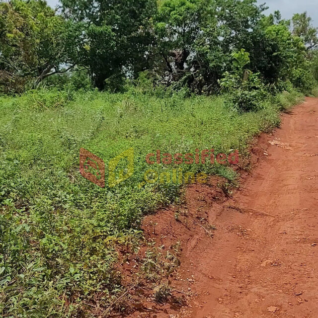 Over 1 Acre Of Land For Sale In Nain St Elizabeth