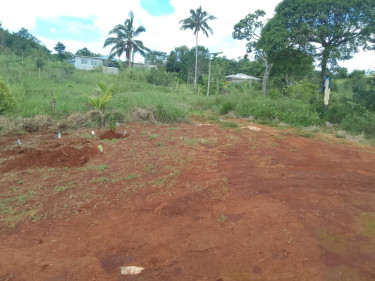 1 Bedroom New Board House On 1/2 Acre Fruited Land