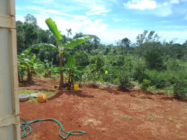 1 Bedroom New Board House On 1/2 Acre Fruited Land
