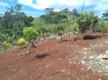 1 Bedroom New Board House On 1/2 Acre Fruited Land