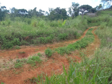 1 Bedroom New Board House On 1/2 Acre Fruited Land