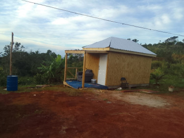 1 Bedroom New Board House On 1/2 Acre Fruited Land