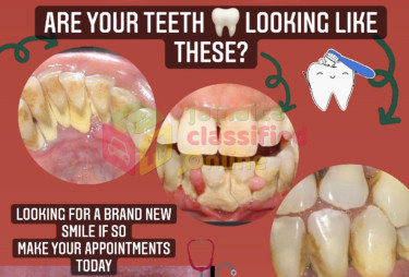 Dental Cleanings