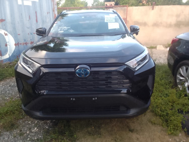2019 Toyota RAV4 