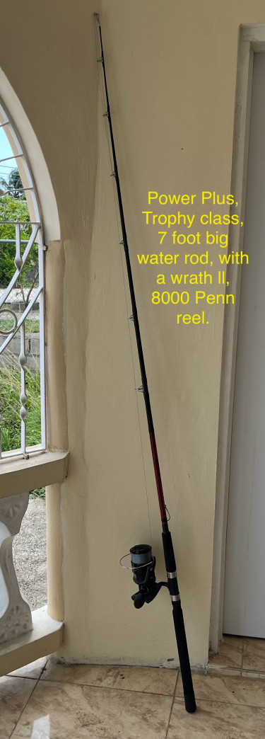 Fishing Rods And Supplies 