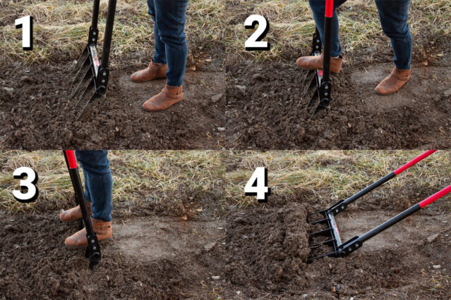 Landscape Services Maintenance