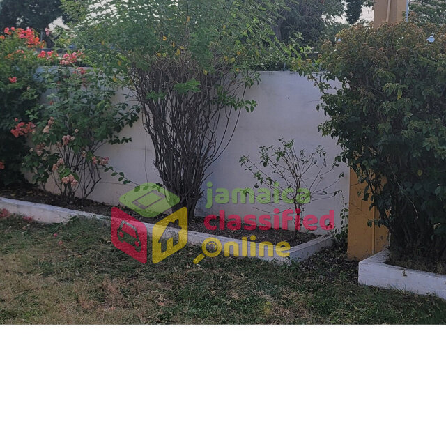 3 Bedrooms 2 Bathrooms In Mona