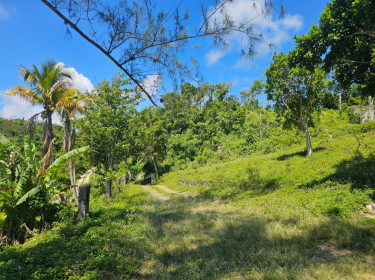 2 HOUSES ON 1  ACRE OF LAND WITH SEA VIEW