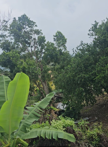 2 HOUSES ON 1  ACRE OF LAND WITH SEA VIEW