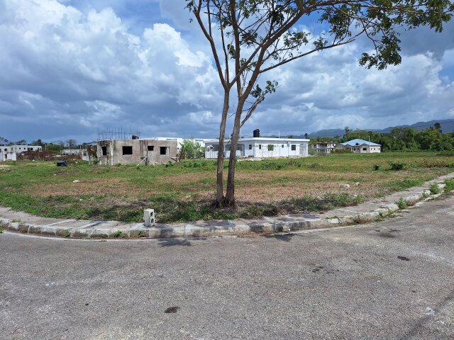 Quarter Acre Lot
