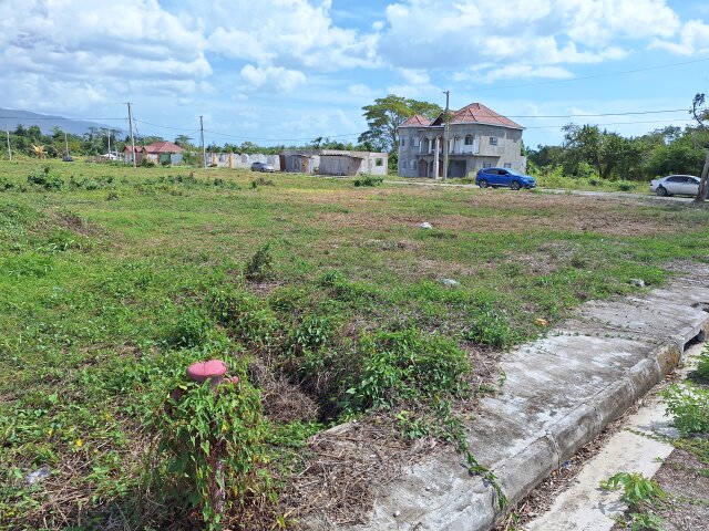 Quarter Acre Lot