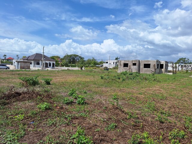 Quarter Acre Lot