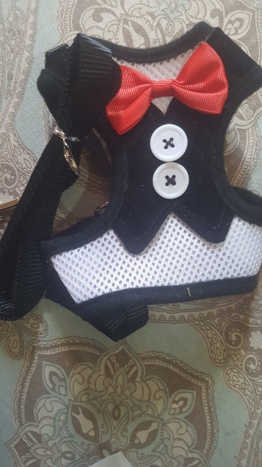 Pet Harness & Leash 