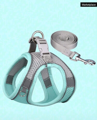 Harness And Leash Set For Pets