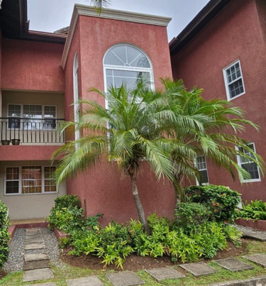 1 Bedroom 1 Bathroom Apartment