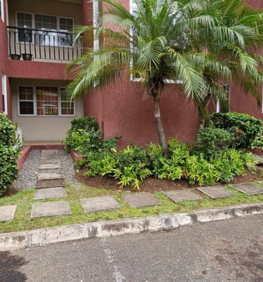 1 Bedroom 1 Bathroom Apartment