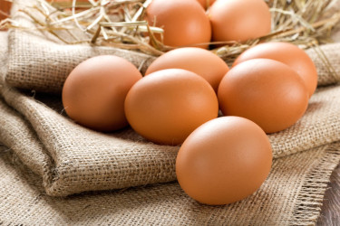 Egg For Sale