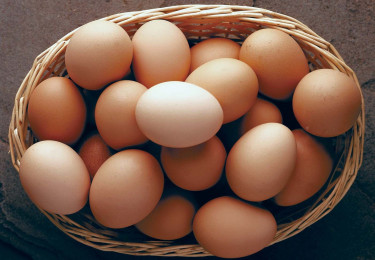 Egg For Sale