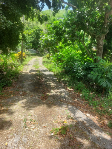 SPRING GARDEN  5 Bedroom 4 BATH 0.8 ACRES