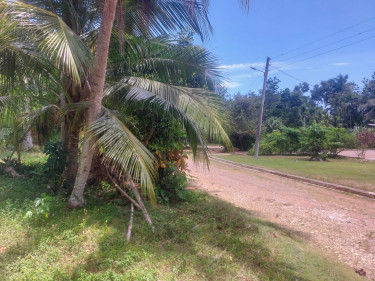 SPRING GARDEN  5 Bedroom 4 BATH 0.8 ACRES