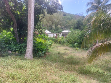SPRING GARDEN  5 Bedroom 4 BATH 0.8 ACRES
