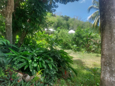 SPRING GARDEN  5 Bedroom 4 BATH 0.8 ACRES