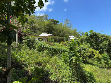 SPRING GARDEN  5 Bedroom 4 BATH 0.8 ACRES
