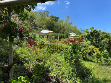 SPRING GARDEN  5 Bedroom 4 BATH 0.8 ACRES