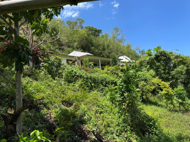 SPRING GARDEN  5 Bedroom 4 BATH 0.8 ACRES