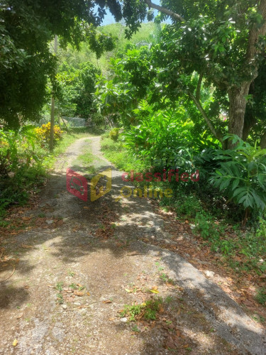 SPRING GARDEN  5 Bedroom 4 BATH 0.8 ACRES